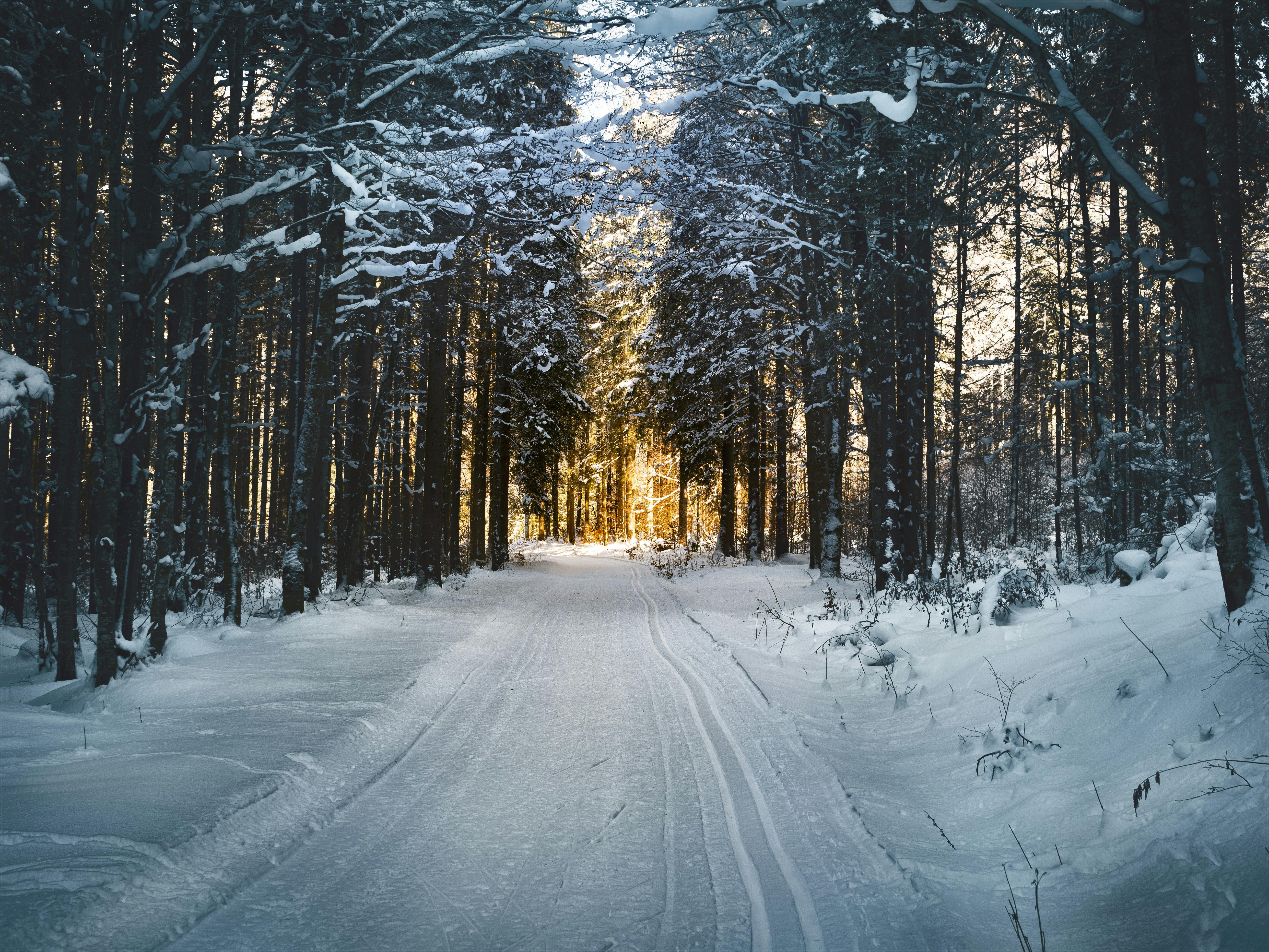 Winter Road